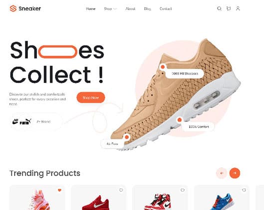 Shopify store 6